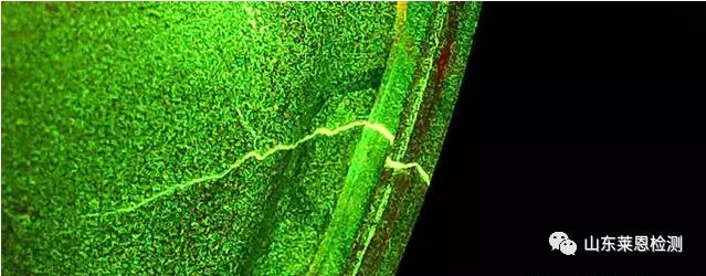 微信圖片_20200319085528.jpg 微信圖片_20200319085528.jpg